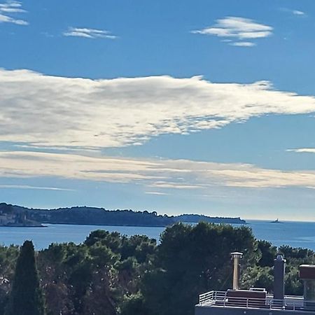 Villa Salvia Rooms And Apartments Rovinj Buitenkant foto