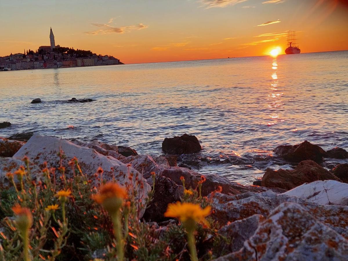 Villa Salvia Rooms And Apartments Rovinj Buitenkant foto