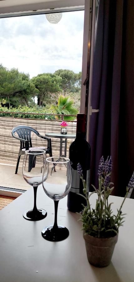 Villa Salvia Rooms And Apartments Rovinj Buitenkant foto