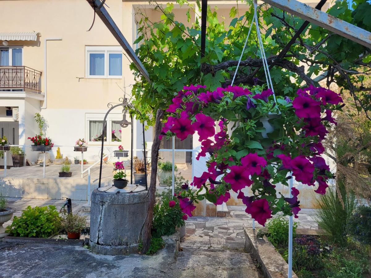 Villa Salvia Rooms And Apartments Rovinj Buitenkant foto