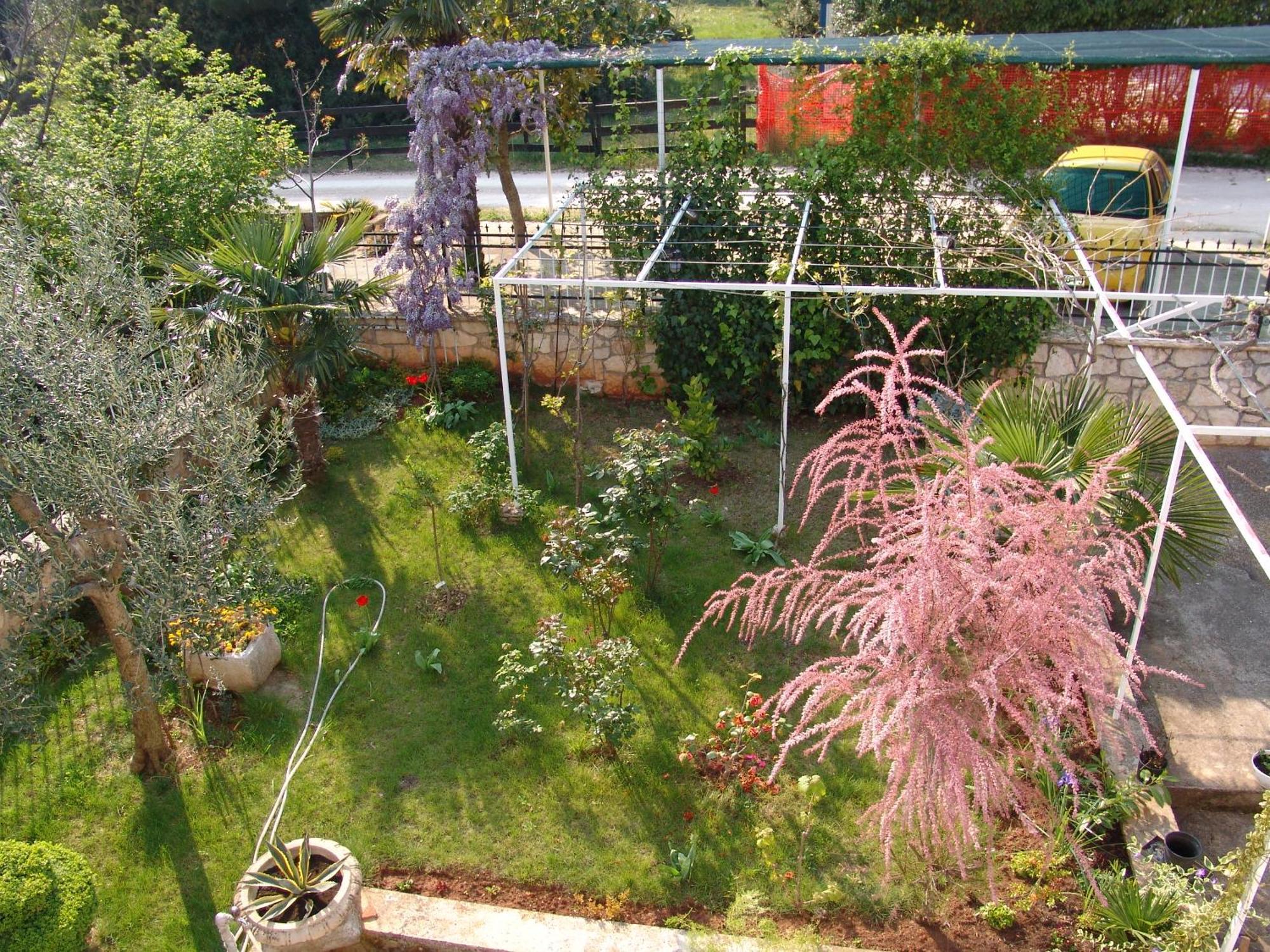 Villa Salvia Rooms And Apartments Rovinj Buitenkant foto